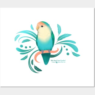 Blue Peach Faced Lovebird Posters and Art